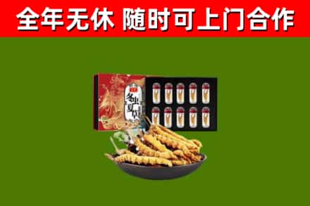 咸宁回收冬虫夏草价格